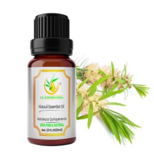 Niaouli Essential Oil