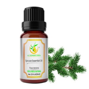 Spruce Essential Oil